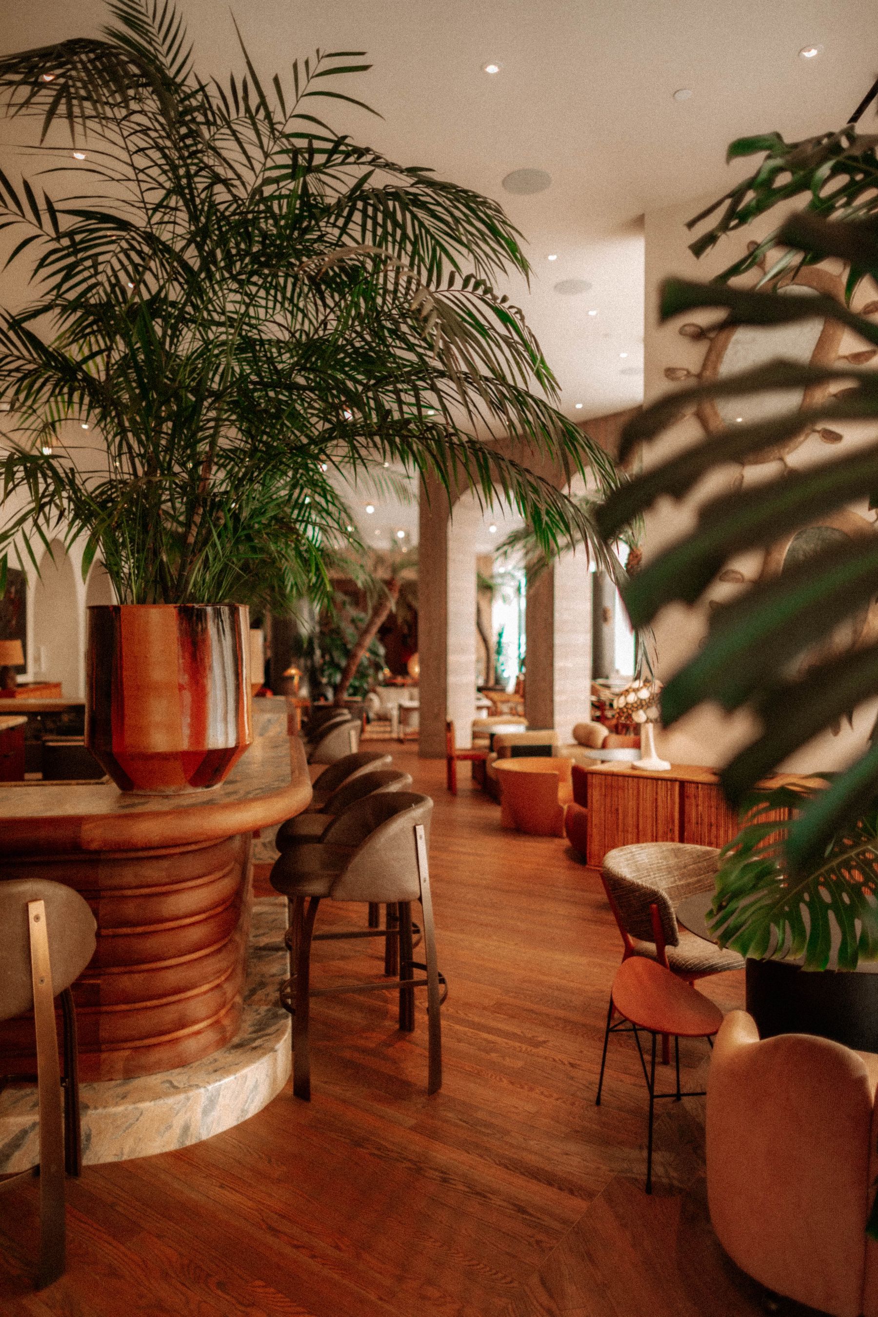 Santa Monica hotel interior with tall palms and tropical plants