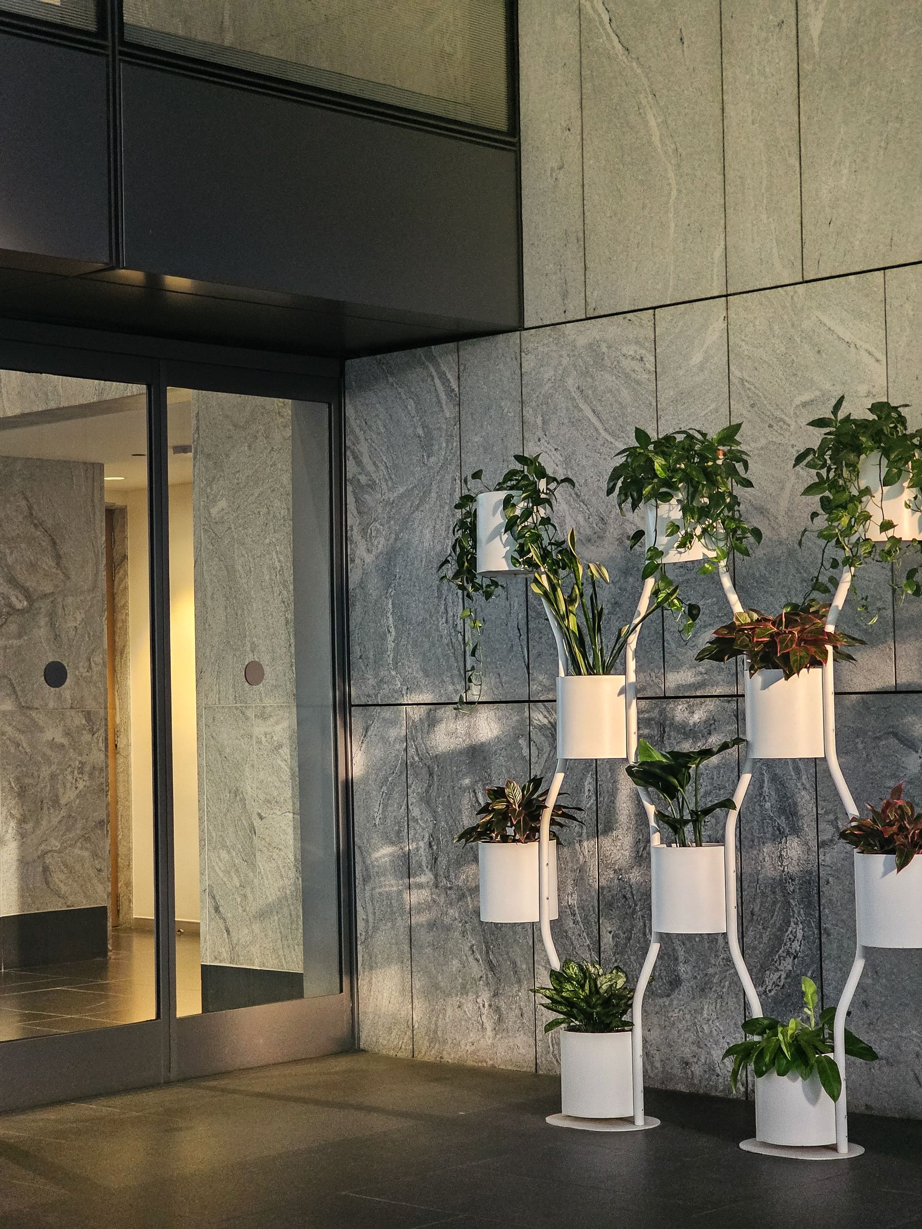Vertical indoor plant installation in a commercial lobby